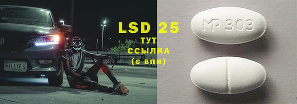 PSILOCYBIN Артём